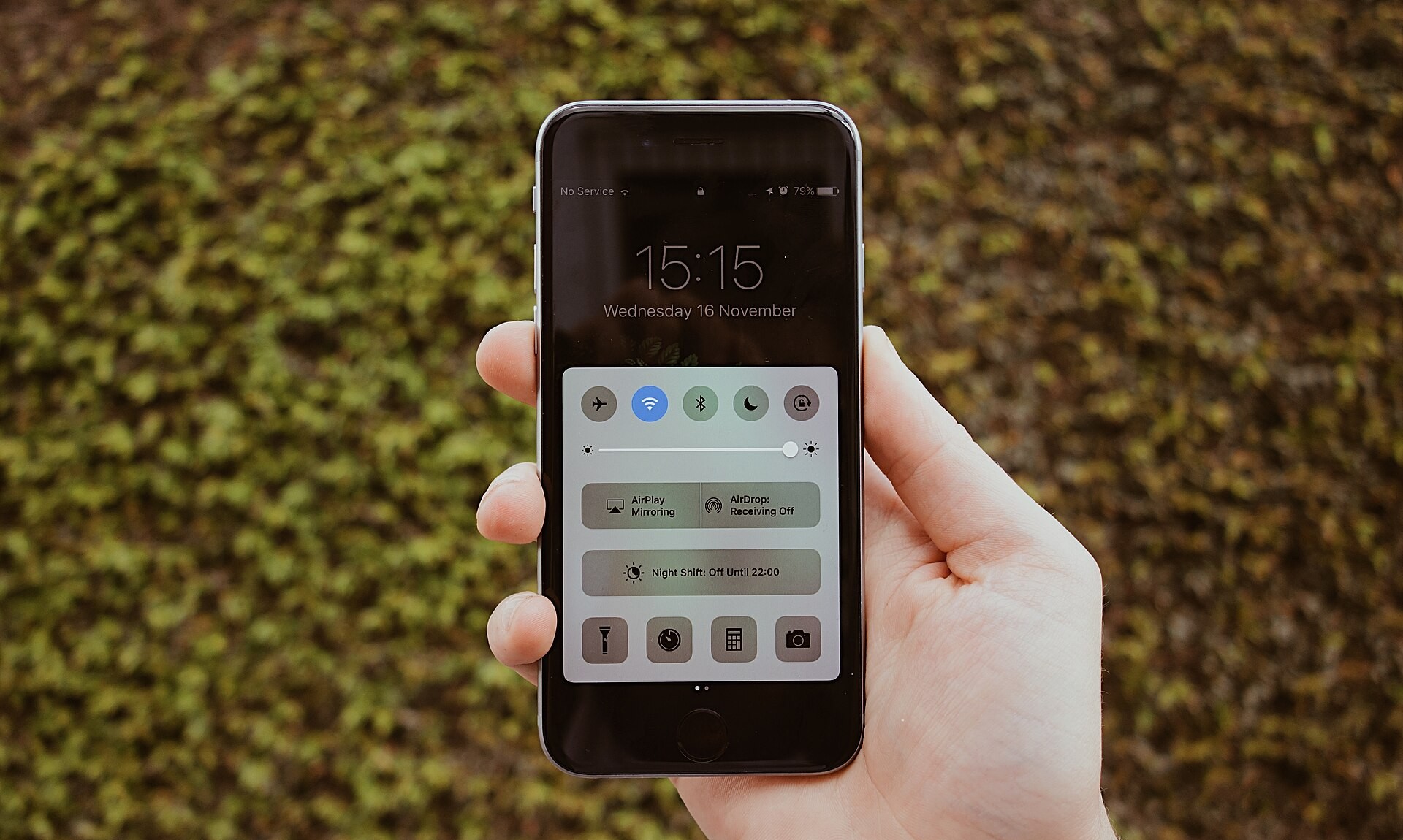 Mão segura um celular com a tela acesa diante de uma parede coberta de folhas